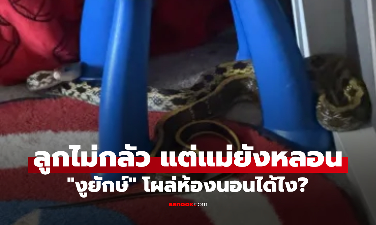 หัวใจจะวาย! แม่เห็น "ลิ้นงู" แลบใต้เตียงลูก 3 ขวบ ก่อนเผยตัวตนสุดช็อก มันโผล่มาจากไหน?