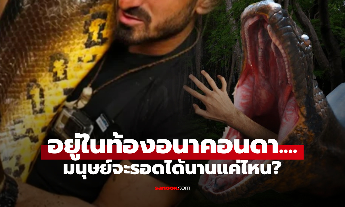 เวลาสั้นมาก! ภายในท้องอนาคอนด้า มนุษย์มีชีวิตอยู่ได้ "นานแค่ไหน" ก่อนจะถูกย่อย?