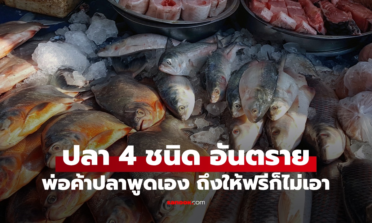 ปลา 4 ชนิด ถึงให้ฟรีก็ไม่เอา พ่อค้าปลาเตือนเอง ซื้อไปเหมือนเอายาพิษกลับบ้าน