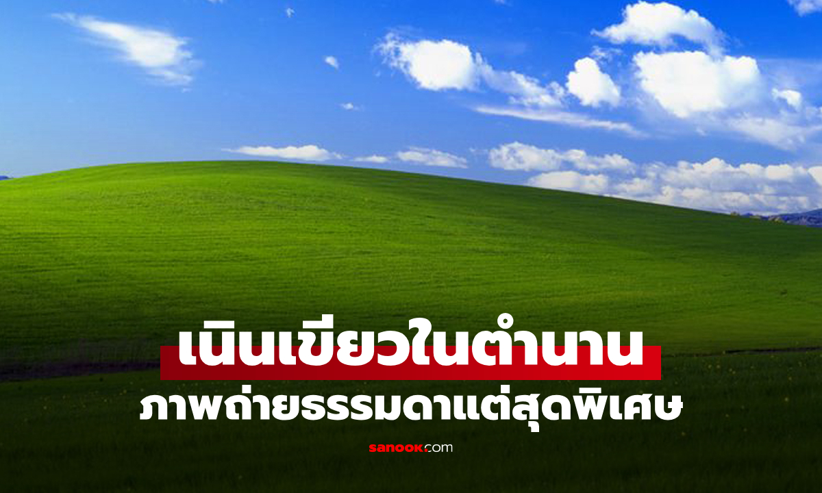 ตำนานของโลกดิจิทัล "Bliss" ภาพถ่ายธรรมดาที่เป็นความทรงจำร่วมของคนนับล้าน