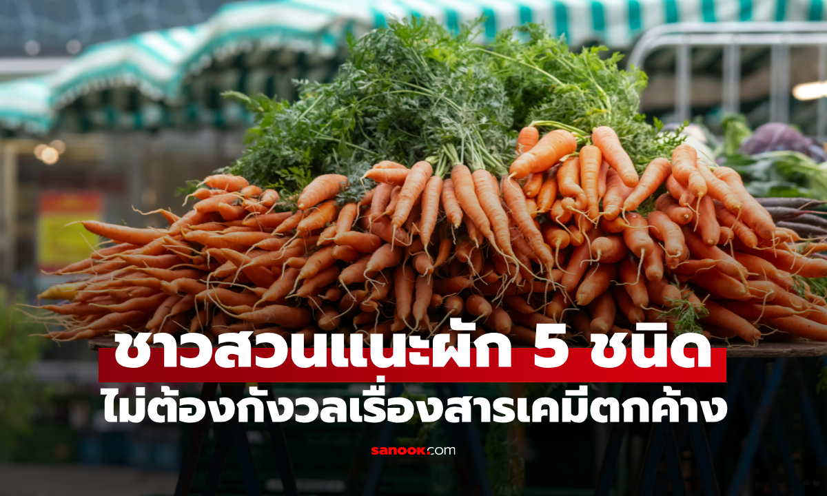 ชาวสวนพูดตรงๆ ผัก 5 ชนิด "ไม่ต้องใช้ยาฆ่าแมลง" แต่มีคุณค่าทางโภชนาการเท่าโสม