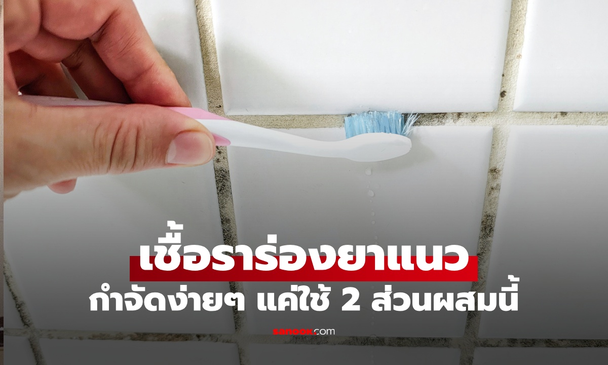 เคล็ดลับกำจัดเชื้อรา ร่องยาแนวห้องน้ำ ใช้แค่  2 ส่วนผสมง่ายๆ ดีกว่าสารฟอกขาว