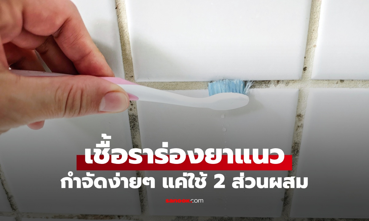 เคล็ดลับกำจัดเชื้อรา ร่องยาแนวห้องน้ำ ใช้แค่  2 ส่วนผสมง่ายๆ ดีกว่าสารฟอกขาว