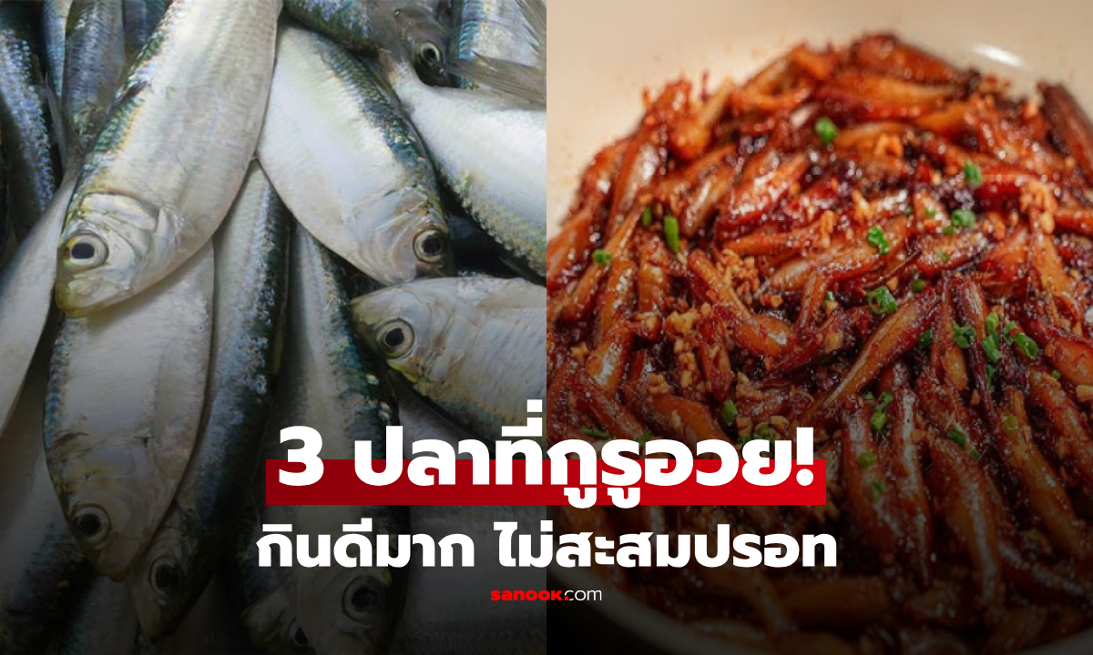 อเมริกาจัดอันดับ "3 ปลาเล็ก" ไม่สะสมสารปรอท กินดีเทียบแซลมอน แต่ราคาถูกกว่ามาก!