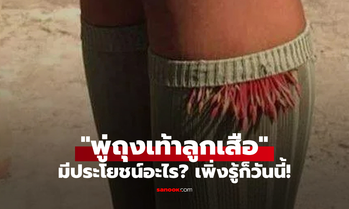 "พู่ถุงเท้าลูกเสือ" มีไว้ทำอะไร? มีประโยชน์อะไร? เพิ่งจะรู้เฉลยก็วันนี้
