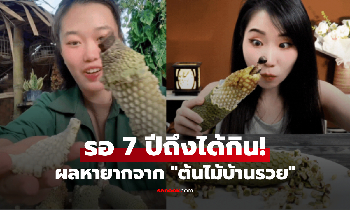 “รอ 7 ปีถึงได้กินหนึ่งผล” พืชฮวงจุ้ยแพง คนรวยปลูกประดับ กลายเป็นอาหาร
