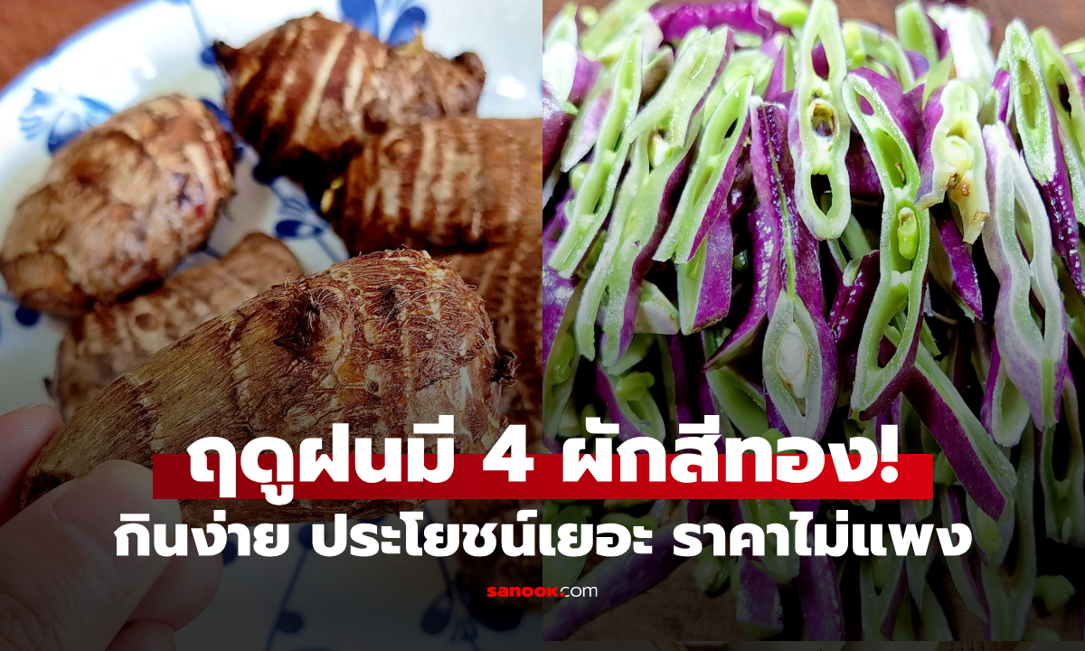 เดือนกันยามี 4 “ผักสีทอง” ทั้งถูกและดีต่อสุขภาพ หนึ่งในนั้นได้ฉายา "โสมใต้น้ำ" อย่าพลาด!