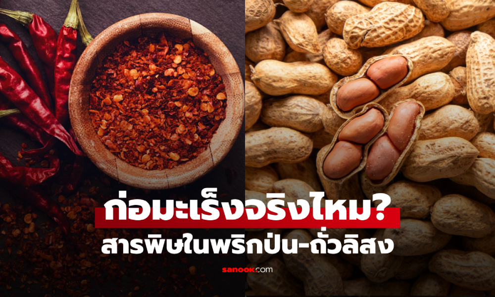 อ.เจษฎ์ โพสต์แล้ว หลังคนกินตื่น "พริกป่น-ถั่วลิสง" พบสารพิษจริง แต่ป้องกันได้!