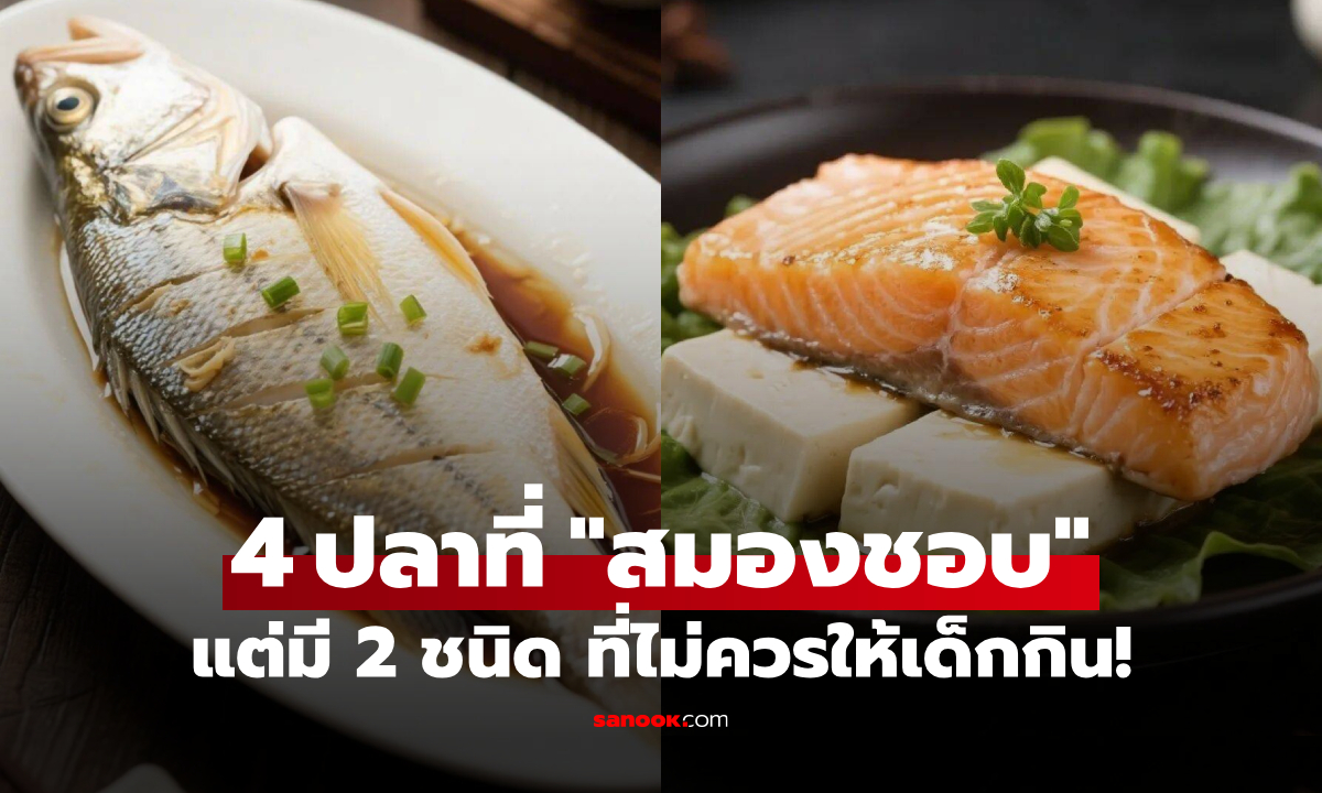 4 ปลาที่ "สมองชอบ" เสริมความจำ-การเรียนรู้ดีขึ้นแน่นอน แต่มี 2 ชนิด ที่ไม่ควรให้เด็กกิน!