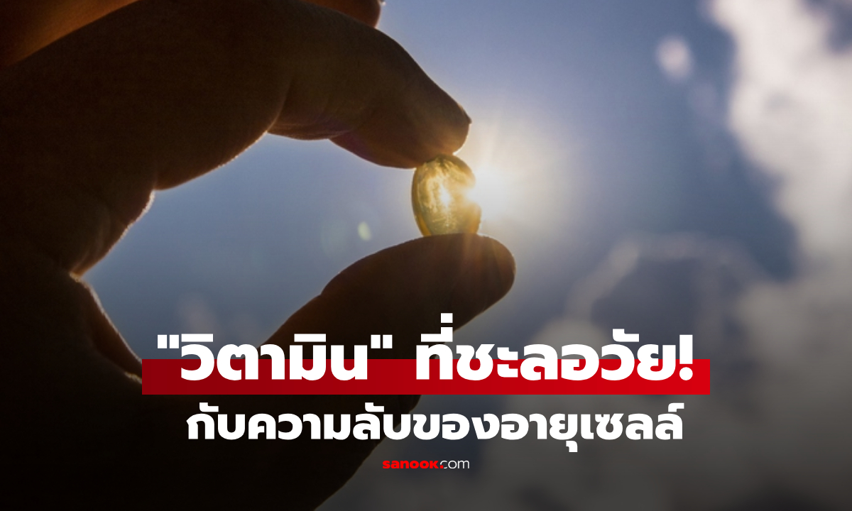 วิจัยใหม่อเมริกา ยืนยัน "วิตามิน" ที่ช่วยชะลอความแก่ รักษาเซลล์ไม่ให้เสื่อมเร็ว!