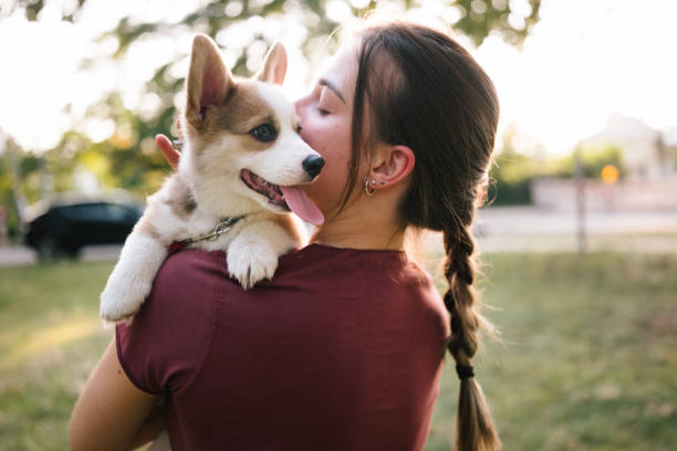 istockphoto-1673604185-612x61
