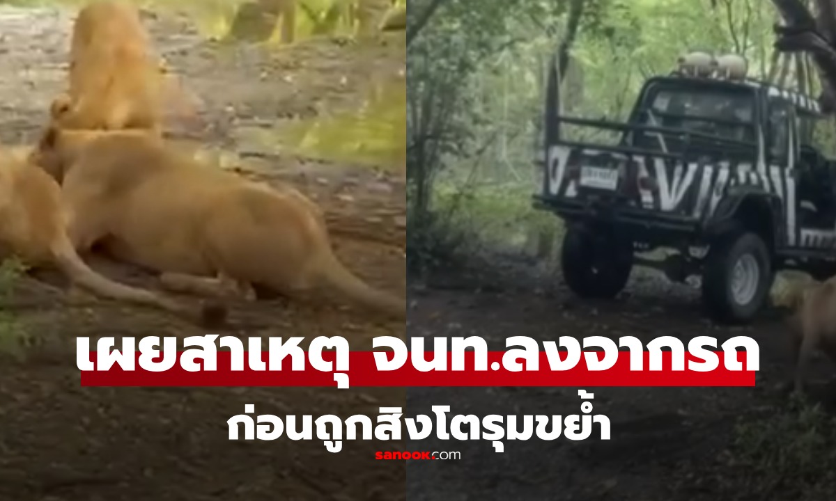 นาทีสยอง! สิงโตรุมขย้ำเจ้าหน้าที่สวนสัตว์ดังย่านกรุงเทพฯ