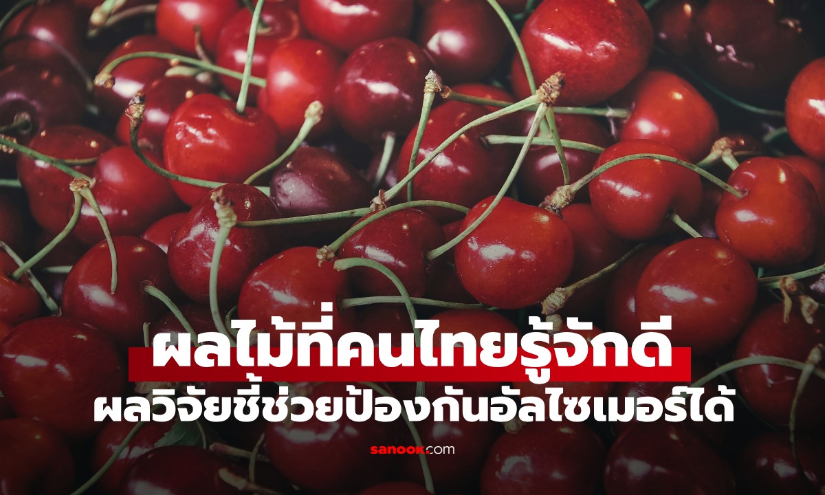 วิจัยเมืองนอกพบ "ผลไม้ชนิดนี้" ช่วยป้องกันอัลไซเมอร์ได้ คนไทยได้ยินชื่อแล้วร้องอ๋อ!