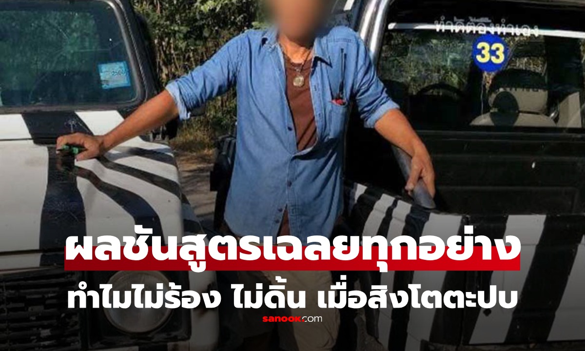 ผลชันสูตร "พี่เจียน" ตอบได้แล้ว ทำไมตอนถูกสิงโตตะปบ ไม่ร้อง-ไม่ดิ้น-เสียชีวิตจากอะไร