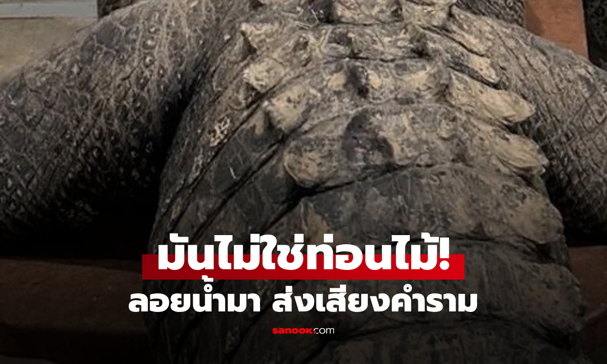 สะพรึง! แก๊งชายพบ “ท่อนไม้ลอยน้ำ” ส่งเสียงคำราม ล่าระทึก 1 ชั่วโมงเต็ม!!!