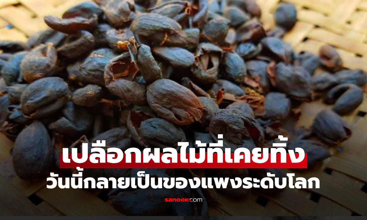 เปลือกผลไม้ที่เคยทิ้ง กลายเป็นที่ต้องการ แปรรูป "อาหารพิเศษของโลก" ราคาไม่ใช่ถูกๆ