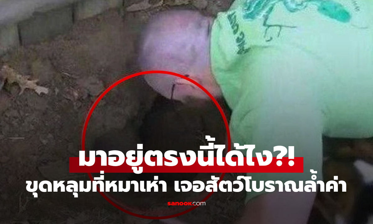 เอะใจ หมาเห่าหลุมหลังบ้าน ขุดพิสูจน์แทบไม่เชื่อตา เจอ "สัตว์ไซต์ยักษ์" อายุเป็นร้อยปี!!!