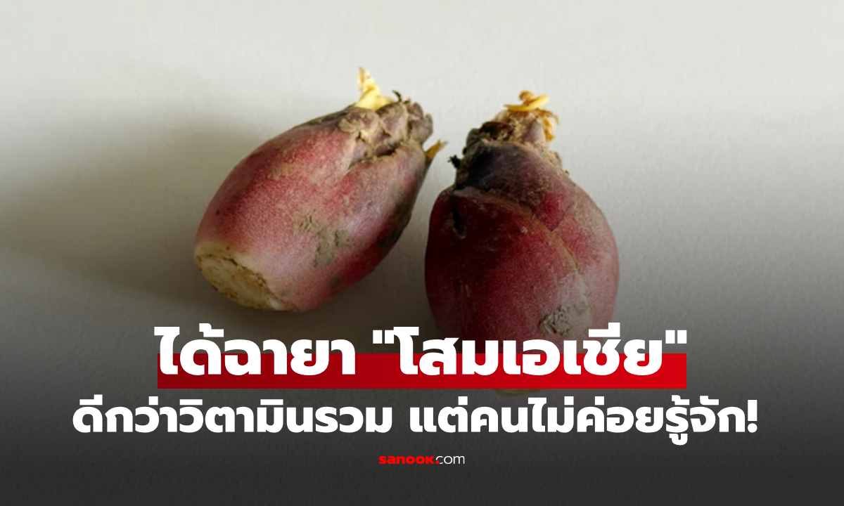 ซูเปอร์ฟู้ดตัวจริง "โสมเอเชีย" บนโต๊ะอาหารญี่ปุ่น แต่คนไทยไม่ค่อยรู้จัก น่าเสียดายมาก!