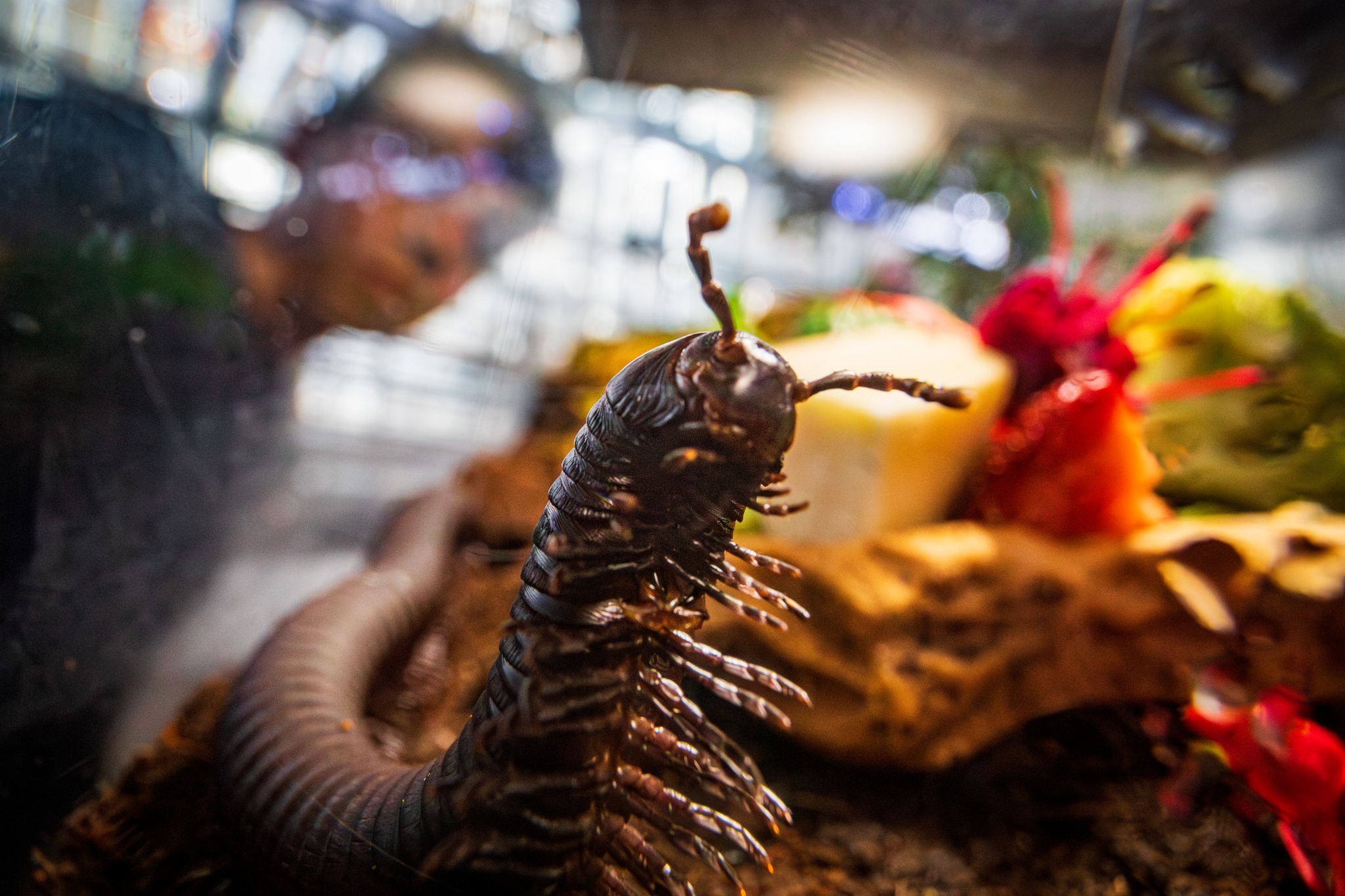 476410346_1168418811314962_52