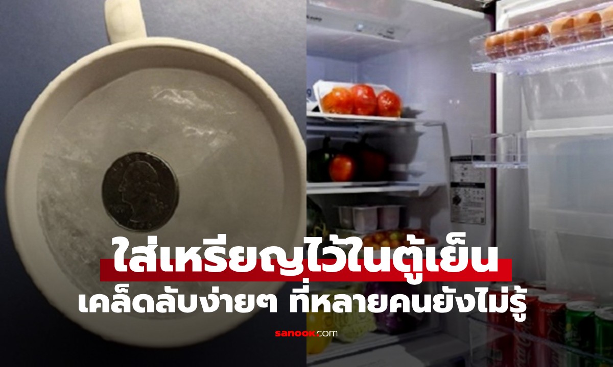 ทำไมควรใส่เหรียญไว้ในตู้เย็น? เคล็ดลับง่ายๆ แต่ชาญฉลาด ที่หลายคนยังไม่รู้