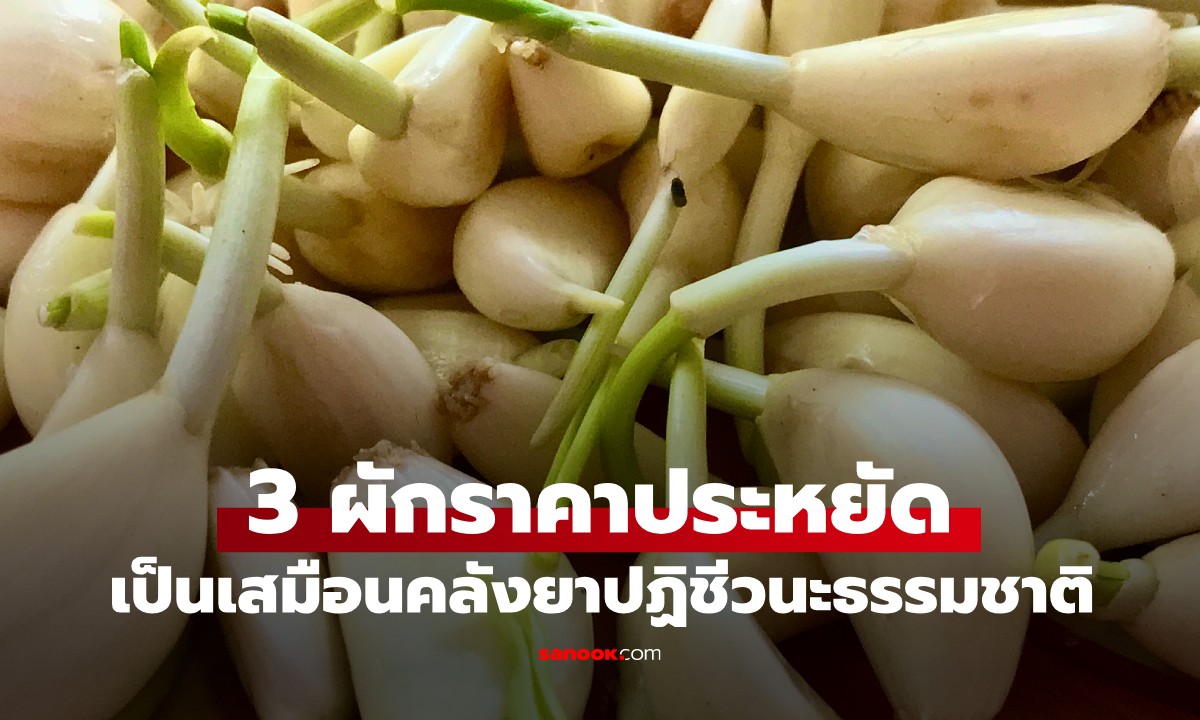 3 ผักราคาประหยัด แต่เป็นเสมือน "คลังยาปฏิชีวนะธรรมชาติ" ของทั้งครอบครัว