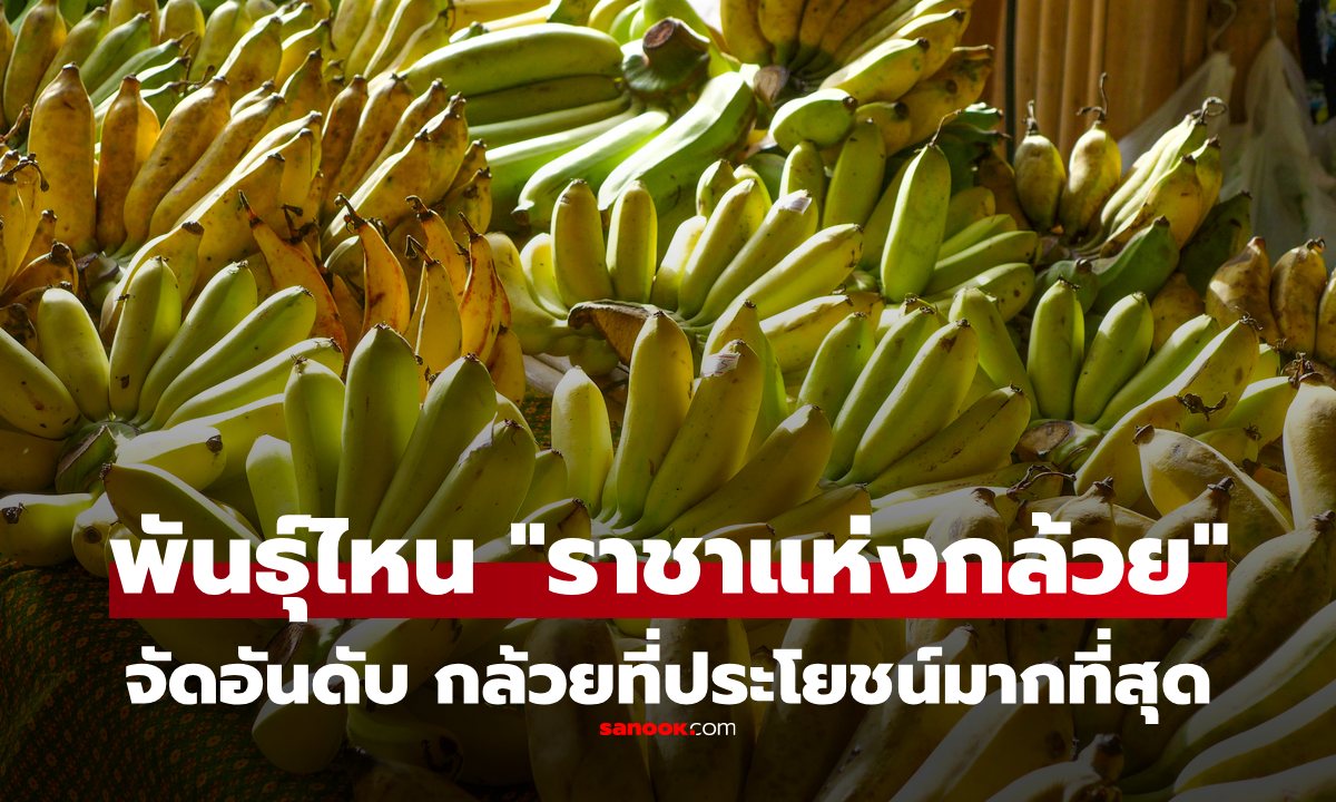 กล้วยพันธุ์ไหน คือ "ราชาแห่งกล้วย" จัดอันดับ พันธุ์ไหนประโยชน์มากสุด เทียบกันกรัมต่อกรัม