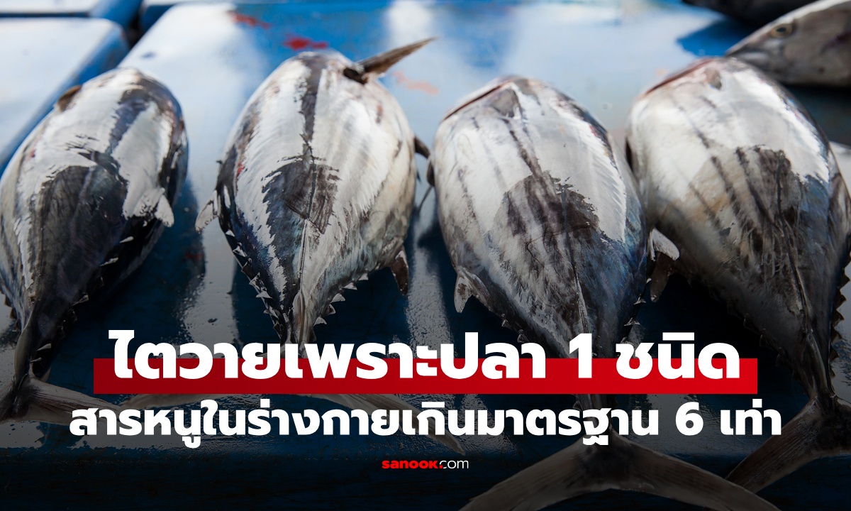 ชายรักสุขภาพ "ไตวาย" สารหนูในร่างกายพุ่ง ต้นเหตุจากปลา 1 ชนิด กินประจำทุกวัน