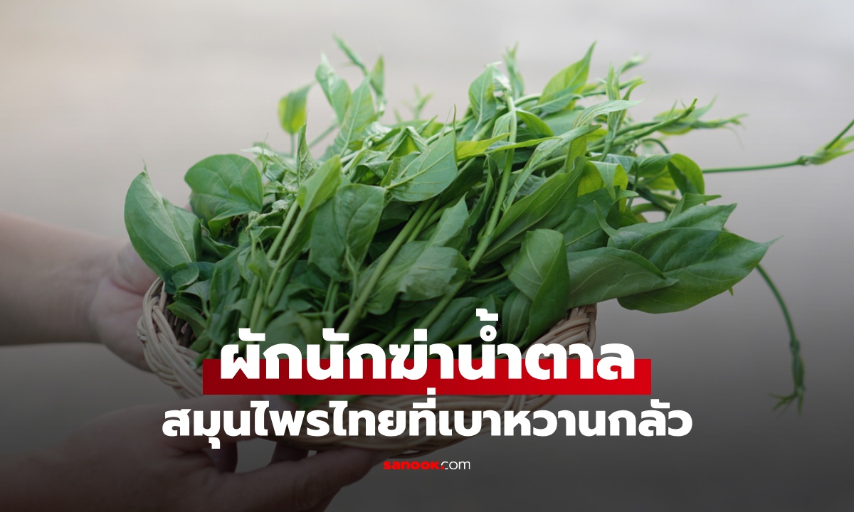 ผักนักฆ่าน้ำตาล สมุนไพรไทยพื้นบ้านที่เบาหวานกลัว นักวิจัยญี่ปุ่นยกย่องสรรพคุณ