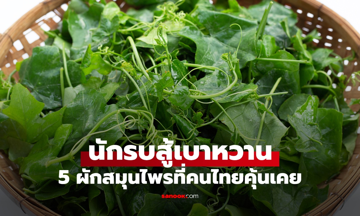 5 สมุนไพรไทย "นักรบสู้เบาหวาน" ผักพื้นบ้านลดน้ำตาลในเลือด อาวุธลับจากธรรมชาติ