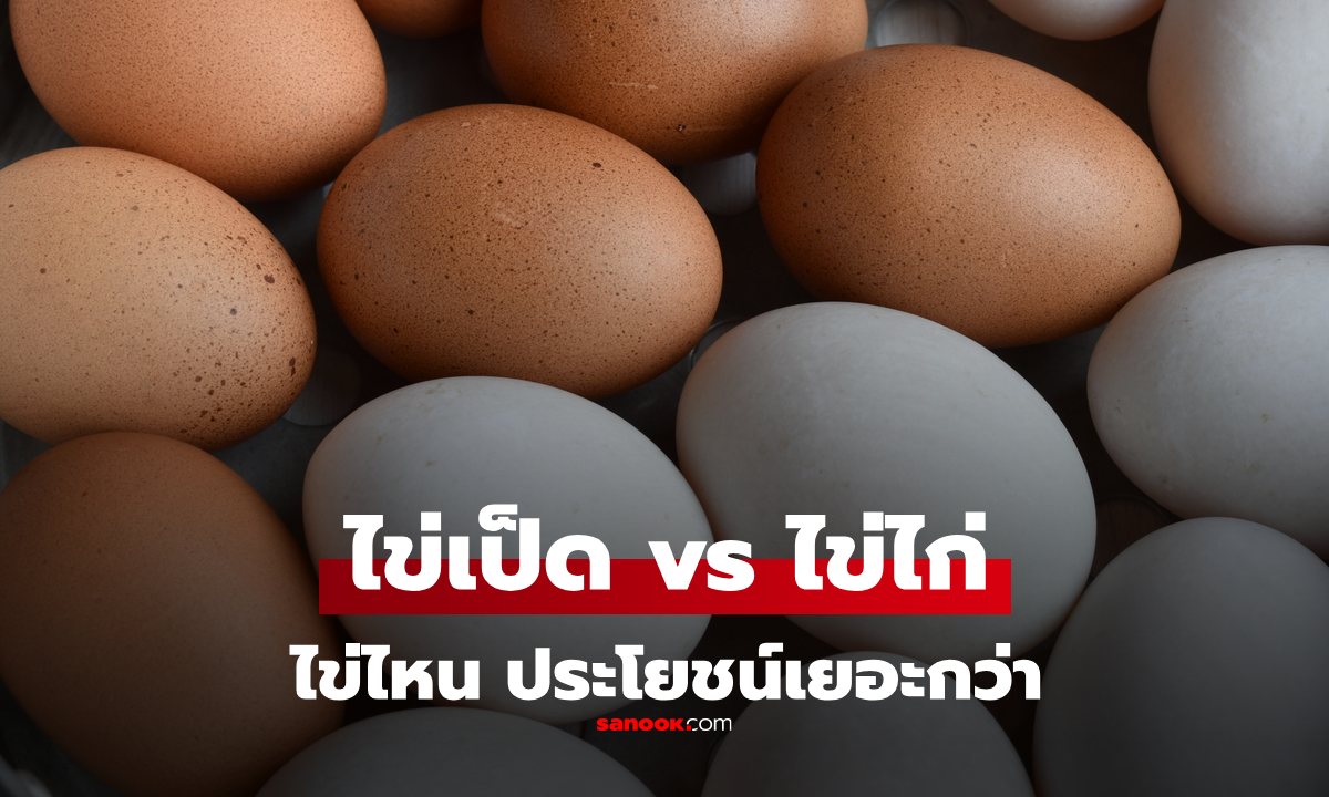 "ไข่ไก่" vs "ไข่เป็ด" อร่อยต่างกัน ประโยชน์ต่างกัน ไข่อะไรคุณค่าเยอะกว่า?