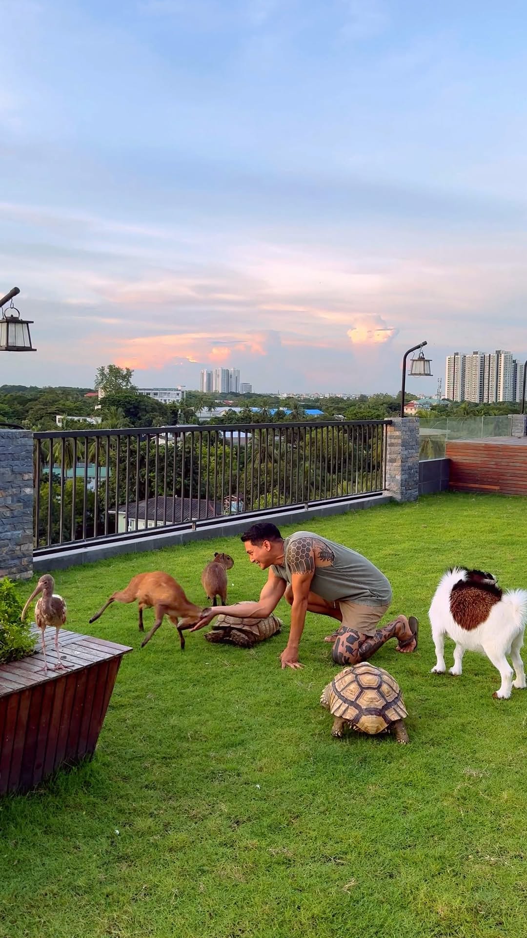 ไป่ ทาคน 