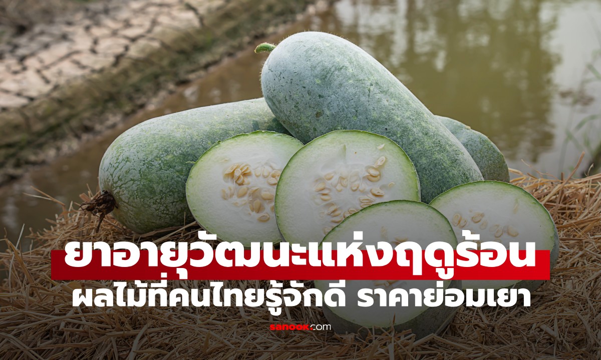 ผลไม้ชนิดนี้คือ "ยาอายุวัฒนะแห่งฤดูร้อน" ดีต่อสุขภาพ ไม่ต้องกังวลเรื่องน้ำหนักขึ้น