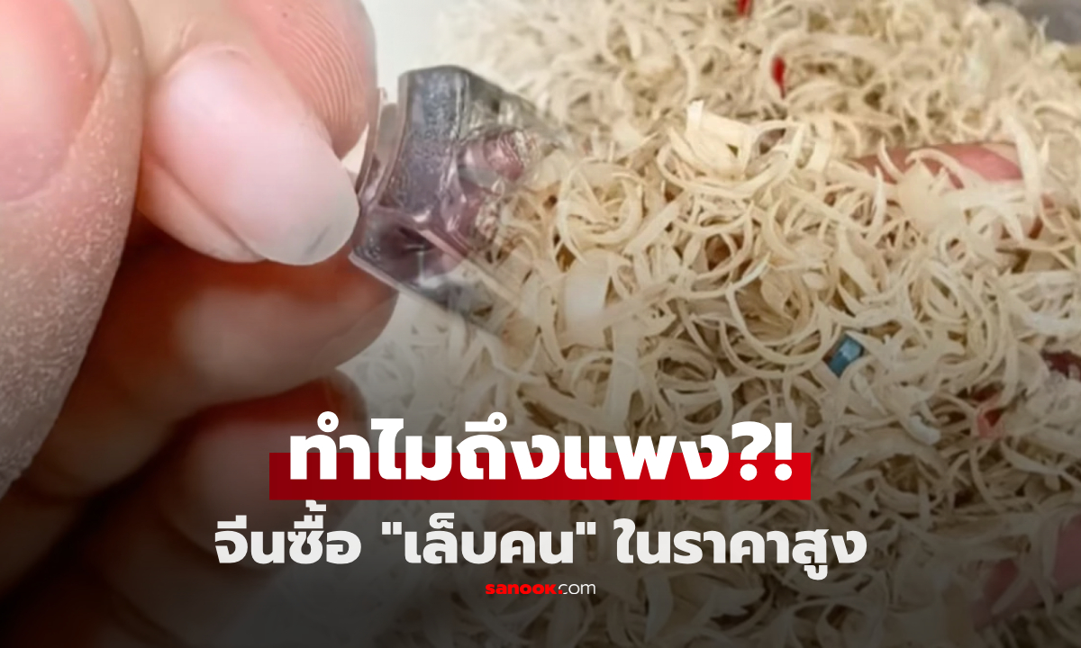 ทำไมจีนซื้อ “เล็บคน” ในราคาสูง เปิดตำราแพทย์โบราณ เล็บใช้ทำอะไรได้?