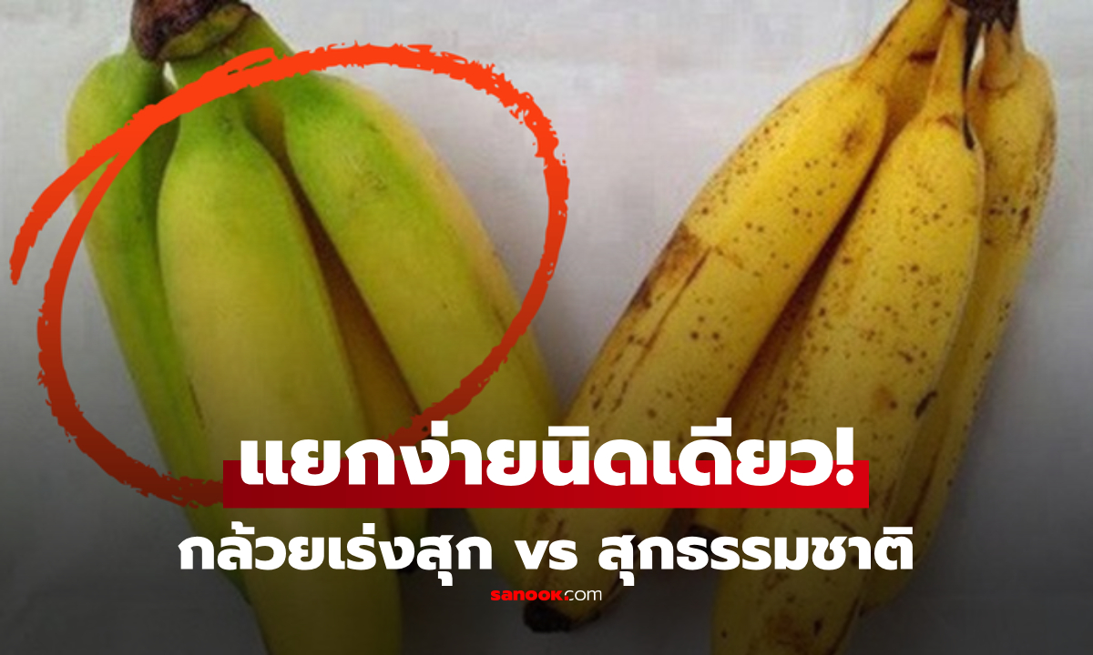 รู้ไว้ดีกว่า! เคล็ดลับเลือกกล้วย "สุกธรรมชาติ" หรือ "เร่งสุกด้วยสารเคมี" แยกง่ายนิดเดียว