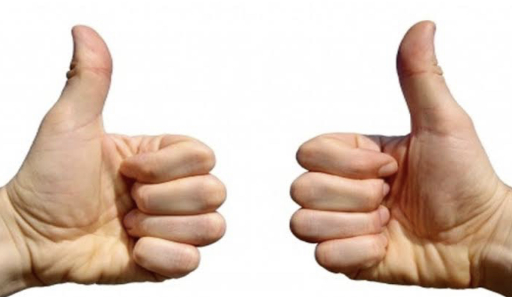 ทำไม “นิ้วหัวแม่มือ” มีแค่สองข้อเท่านั้น? เป็นมาตั้งแต่บรรพบุรุษ หรือวิวัฒนาการมนุษย์