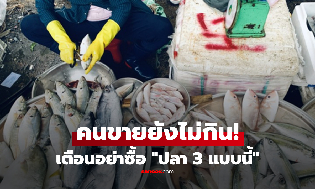 พ่อค้าพูดตรงๆ "ปลา 3 แบบ" ที่ไม่ยอมให้ครอบครัวกิน จ้างให้ก็ไม่เสี่ยงเด็ดขาด!!!