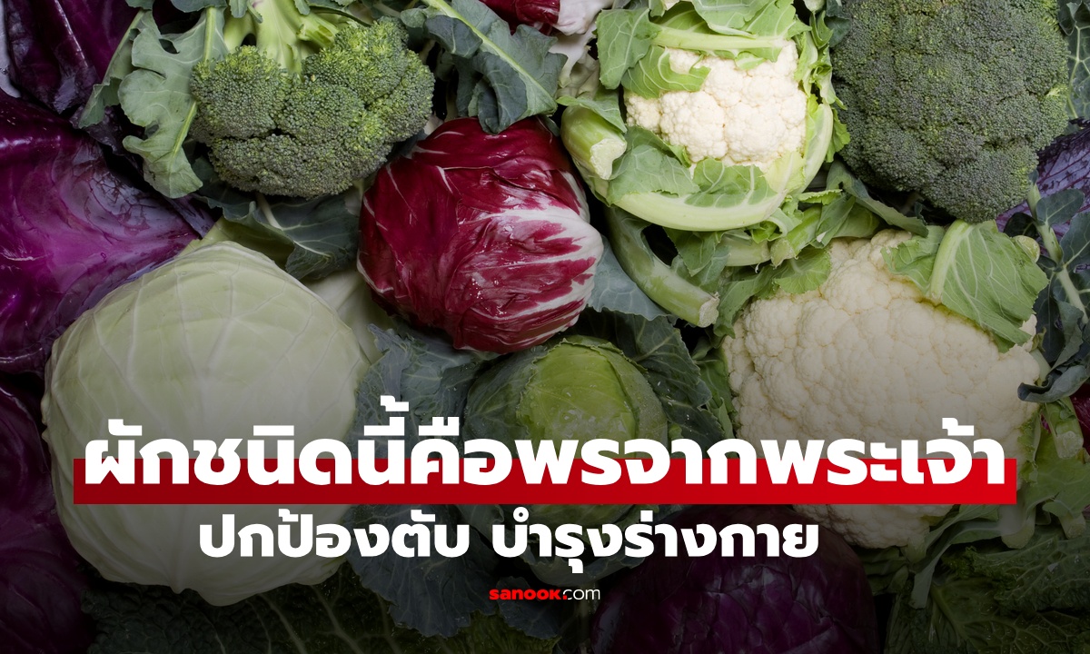 หมอสหรัฐฯ ยกย่อง "ผักชนิดนี้" เป็นพรจากพระเจ้า ปกป้องตับทรงพลัง ไทยมีขายถูกๆ