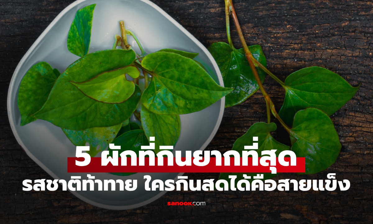 5 ผักที่กินยากที่สุด รสชาติท้าทาย ใครกินสดๆ ได้หมดทุกข้อถือว่าเป็นสายแข็ง