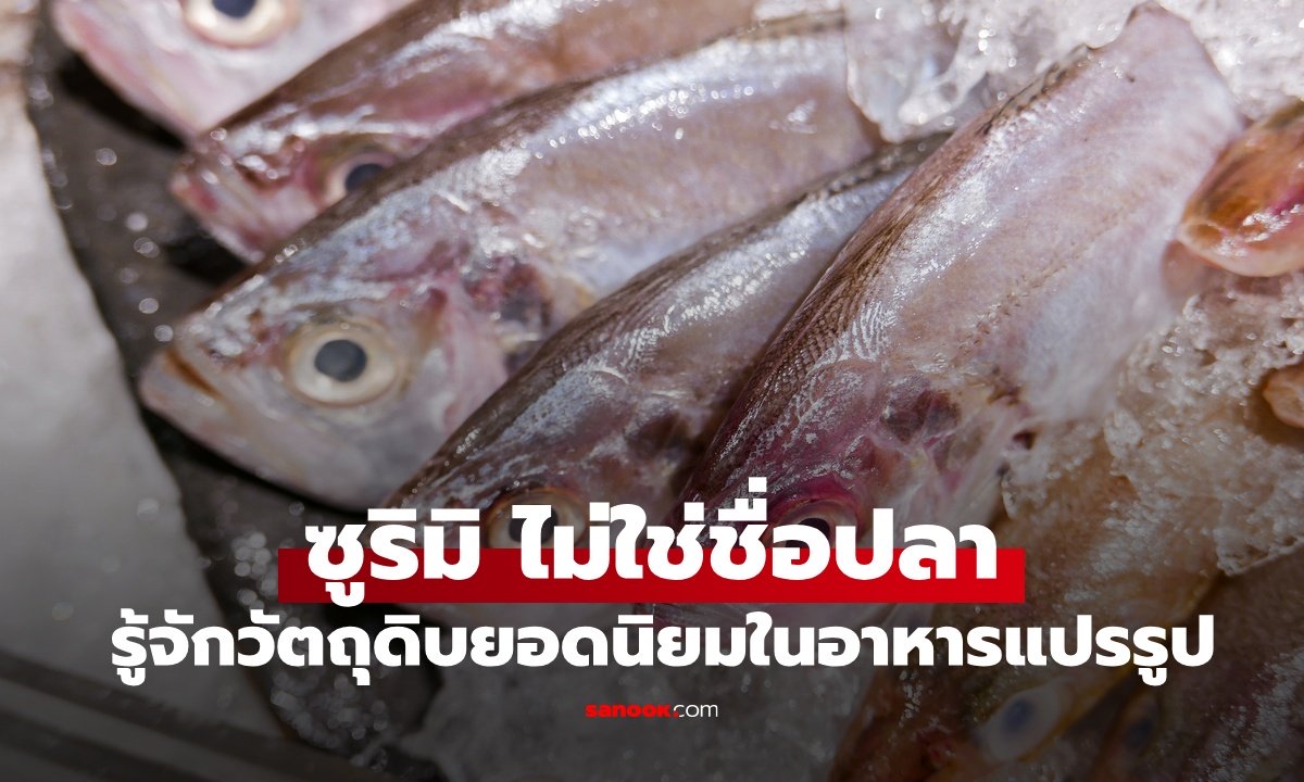 รู้หรือไม่ เนื้อปลา "ซูริมิ" ไม่ใช่ชื่อปลา แต่เป็นวัตถุดิบยอดนิยม ทำอาหารทะเลแปรรูป