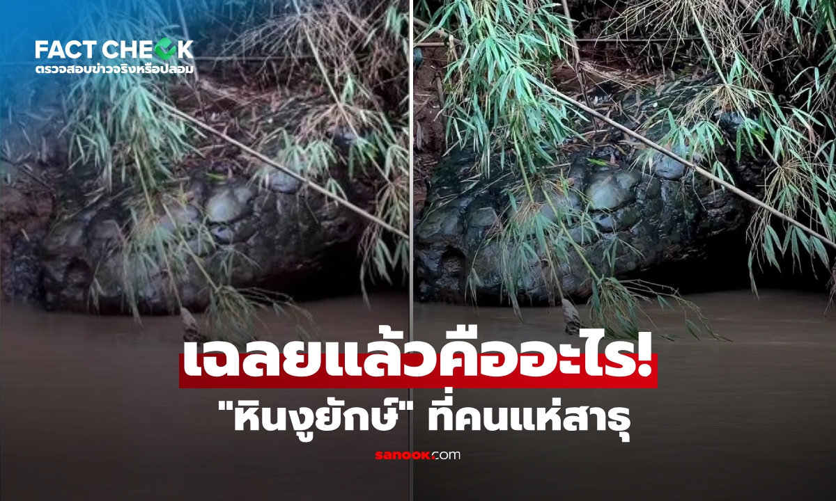 เฉลยแล้ว! 