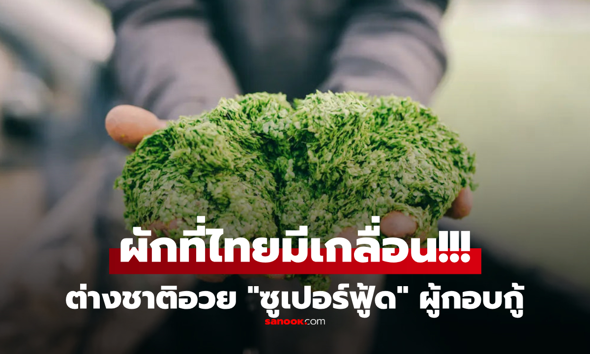 "ซูเปอร์ฟู้ด" ผักกอบกู้โลก?! โปรตีนสูงว่าถั่วเหลือง 6 เท่า ไทยมีเกลื่อน จนใช้เลี้ยงสัตว์ได้