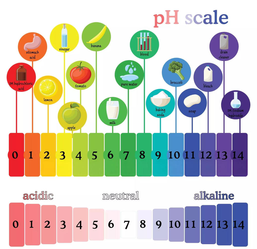 น้ำด่าง 