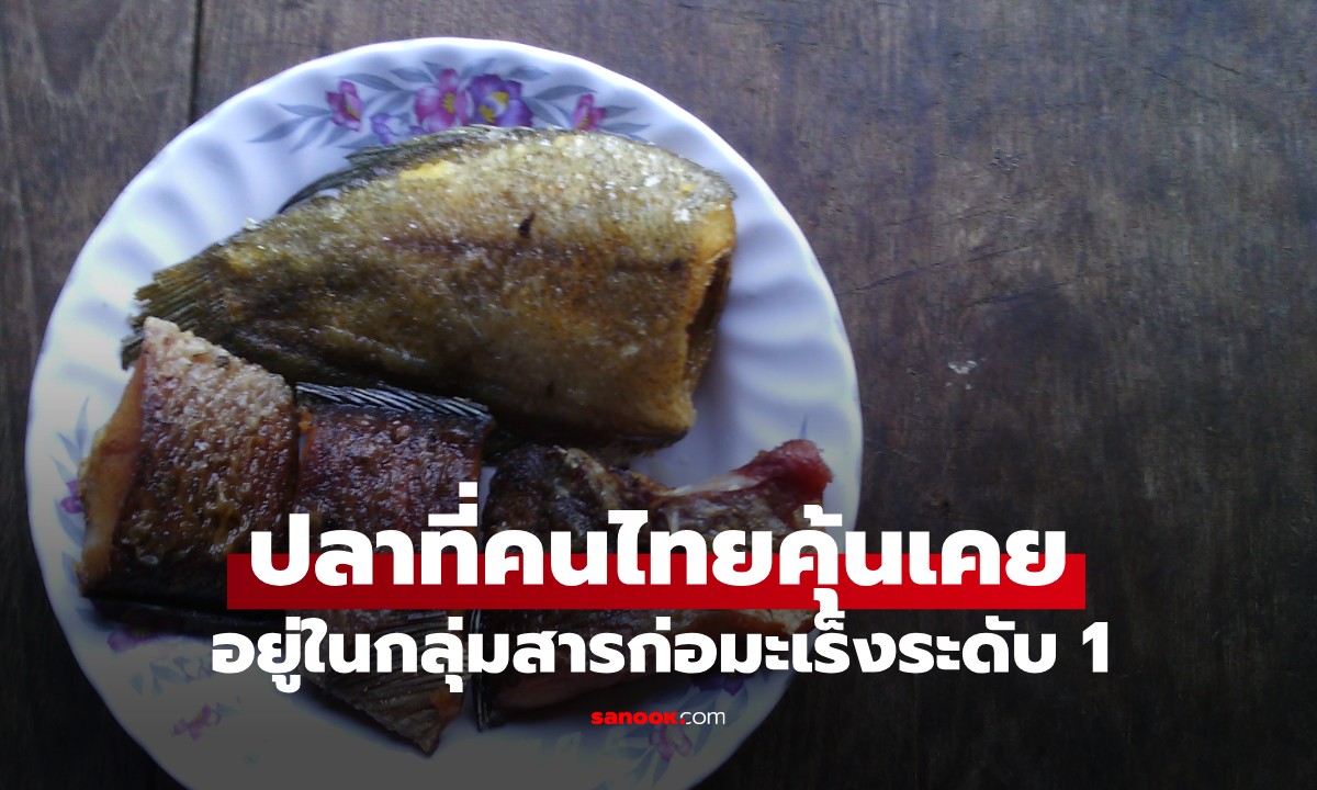 ปลา 1 ชนิด คนไทยได้ยินแล้วร้องอ๋อ! ถูกจัดเป็น "สารก่อมะเร็งระดับ 1" แต่หลายคนยังกิน