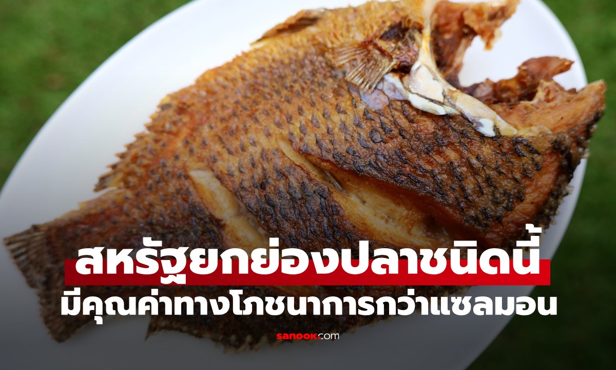 ที่ไทยมี! ปลา 1 ชนิด สหรัฐฯ ยกย่องว่ามีคุณค่าทางโภชนาการมากกว่า "แซลมอน"