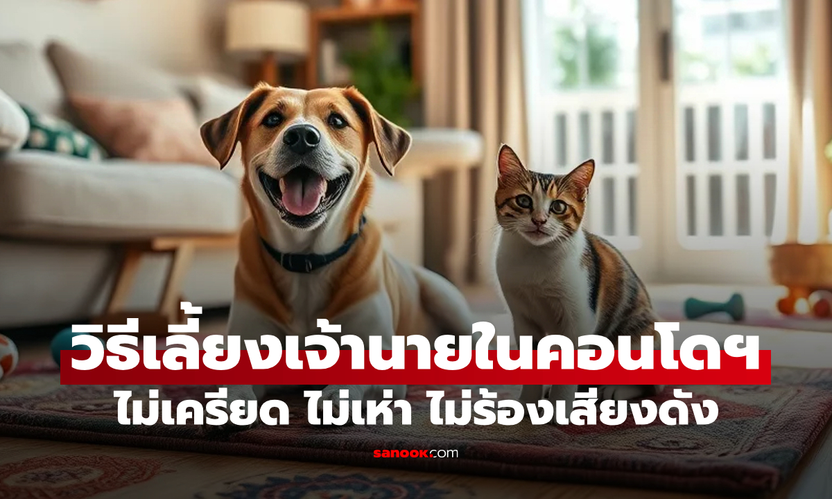 วิธีเลี้ยงหมา–แมวในคอนโดให้มีความสุข ไม่เครียด ไม่เห่า ไม่ร้องเสียงดัง