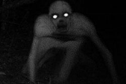 ฮือฮา! ภาพตัวประหลาดตาเรืองแสง ในป่าสหรัฐ