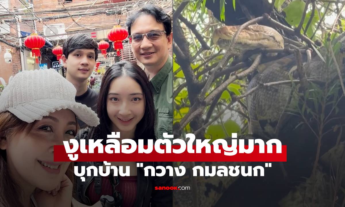 "กวาง กมลชนก" เผยคลิปงูเหลือมตัวใหญ่มากบุกบ้าน เผยเลขเด็ดบ้านเลขที่