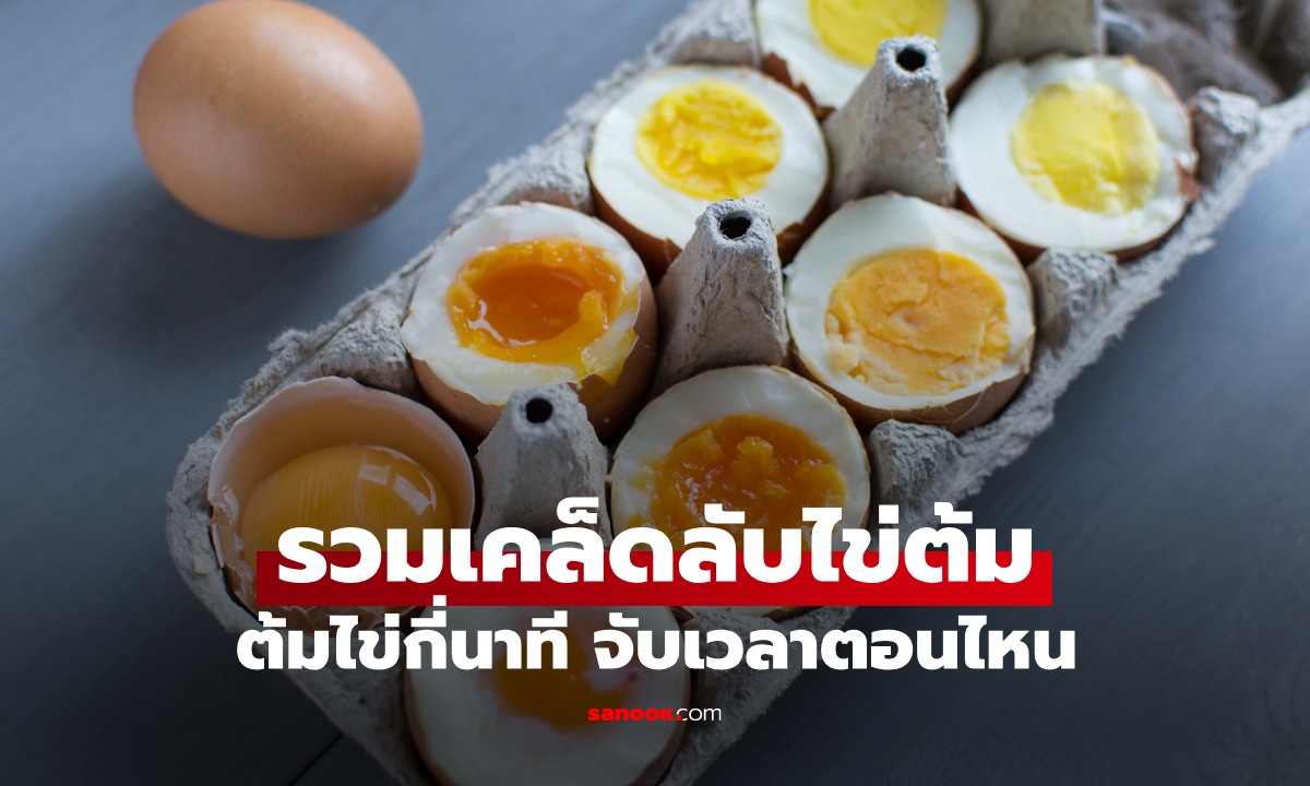 รวมเคล็ดลับไข่ต้ม! ต้มไข่กี่นาที จับเวลาตอนไหน ไข่แดงสุกพอดีดั่งใจ ปอกเปลือกง่าย