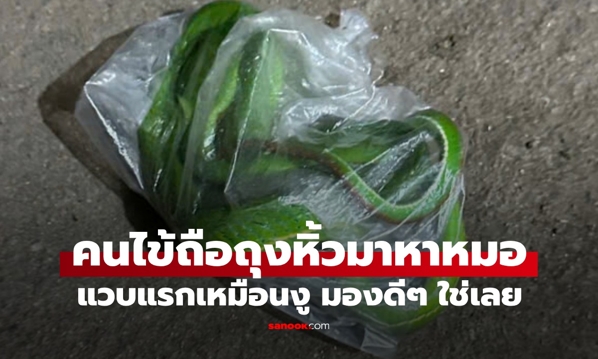 แวบแรกเหมือนงู! คนไข้ถือถุงหิ้วใส่อะไรเขียวๆ มาหาหมอ พอเห็นชัดๆ อึ้งกันหมด