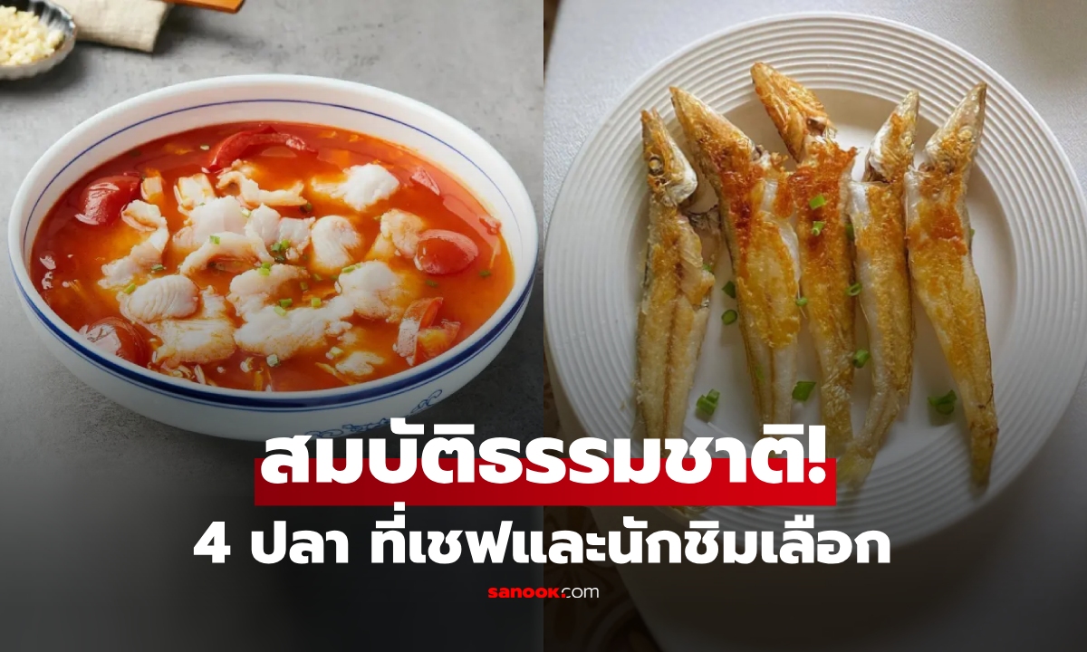 นักชิมเลือก 4 ปลา ธรรมชาติล้วนๆ "เลี้ยงเองไม่ได้" เนื้อแน่น อร่อย หวานจนวางช้อนไม่ลง!